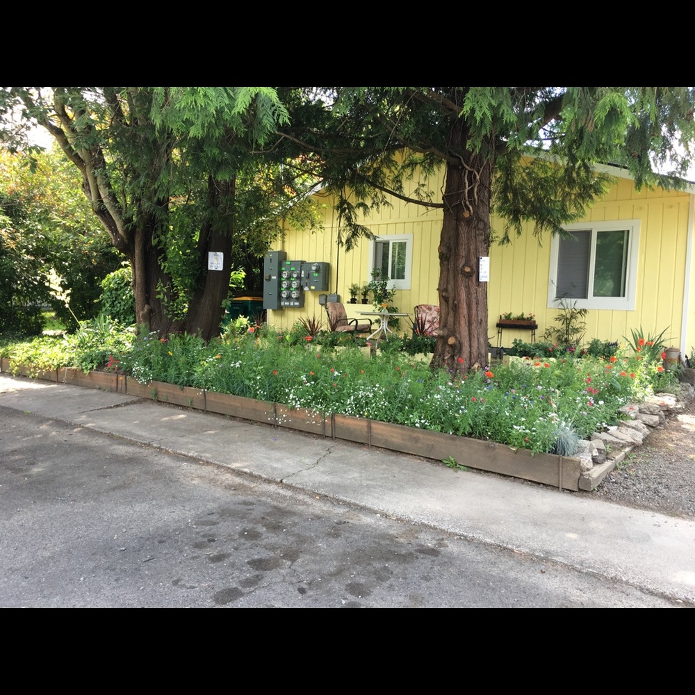 Meet your Posher, Heidi